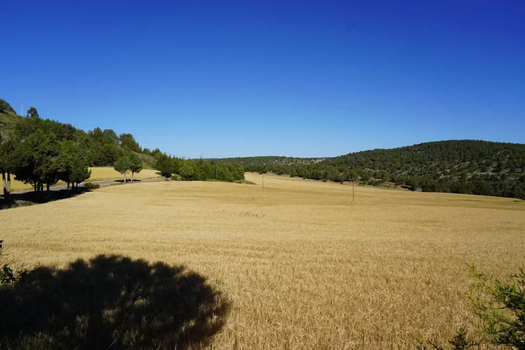 peisage de guadalajara